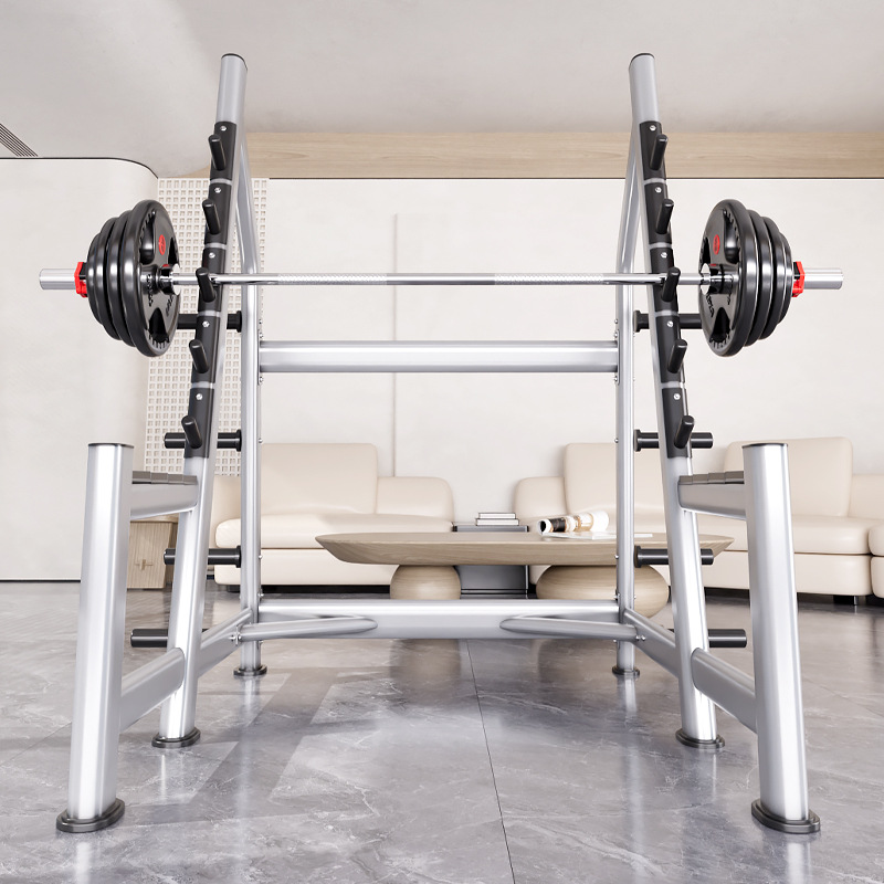 Squat Rack Power Cage, Plate L - Heavy Equipment Lift 评论和价格